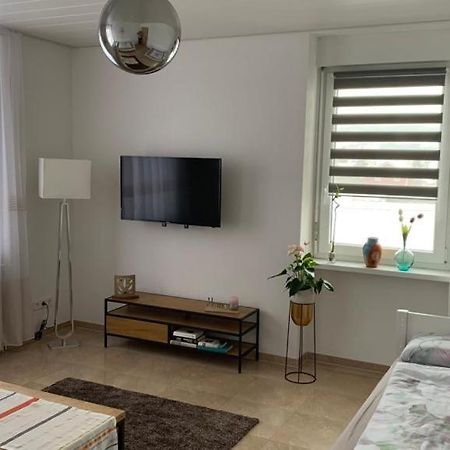 Grenznahe Ferienwohnung Mit 4 Schlafzimmern Grenzach-Wyhlen Zewnętrze zdjęcie