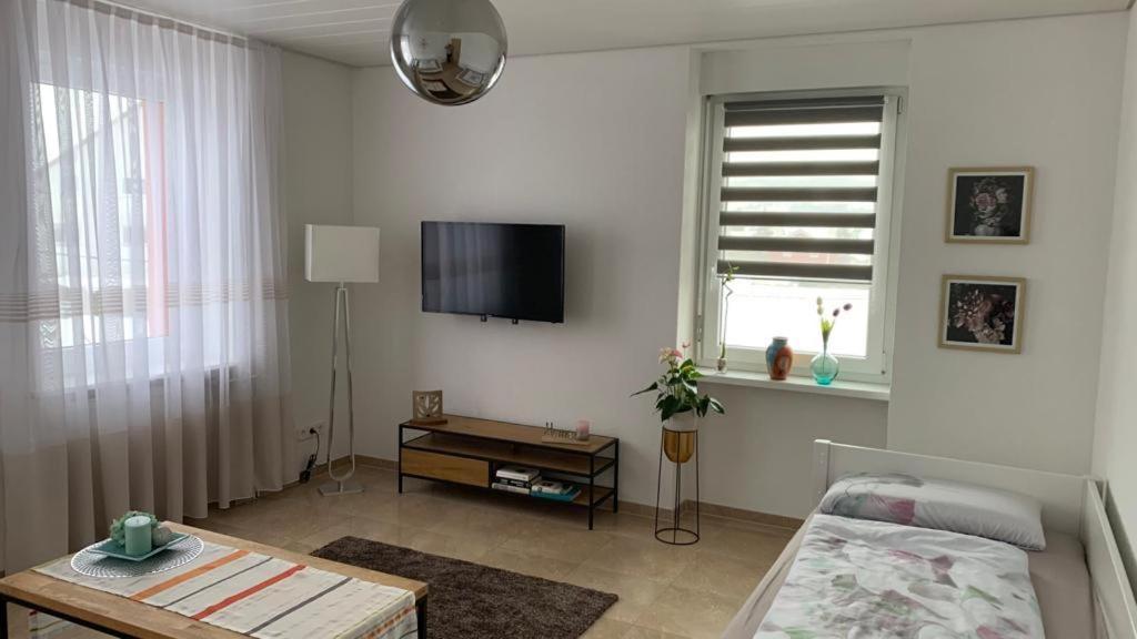 Grenznahe Ferienwohnung Mit 4 Schlafzimmern Grenzach-Wyhlen Zewnętrze zdjęcie