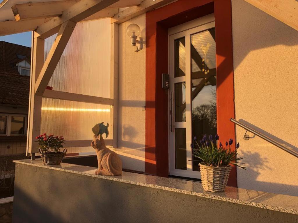 Grenznahe Ferienwohnung Mit 4 Schlafzimmern Grenzach-Wyhlen Zewnętrze zdjęcie