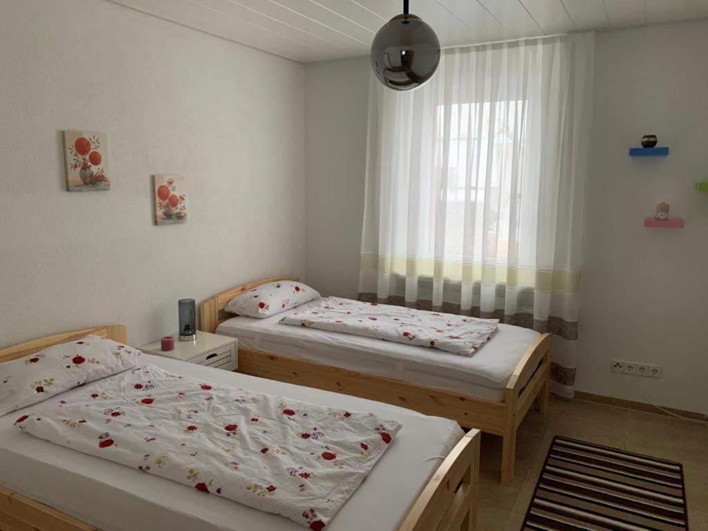 Grenznahe Ferienwohnung Mit 4 Schlafzimmern Grenzach-Wyhlen Zewnętrze zdjęcie
